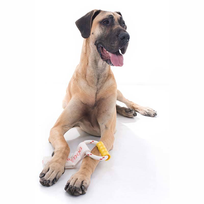 Aussie Dog Tugathong Tough Tug Dog Toy for Large Dogs over 30kg image 4