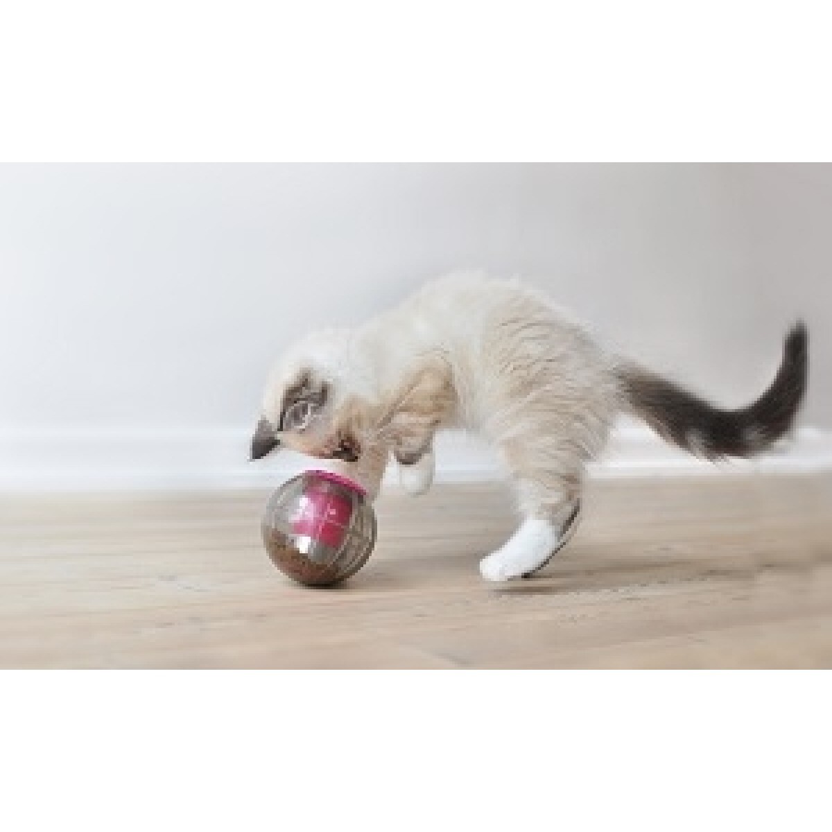 Kruuse Catrine Catmosphere Treat Dispensing Cat Ball Toy in Pink or Black image 4