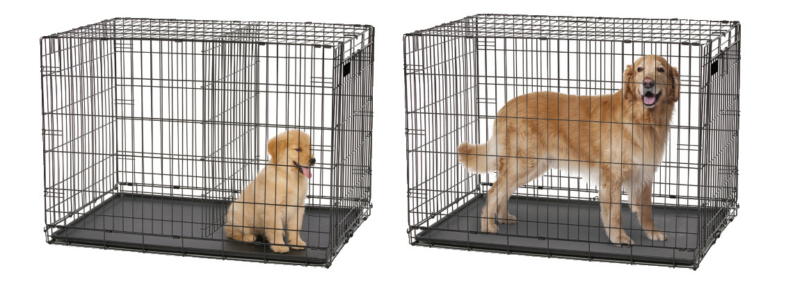 Midwest "Contour" Double Door Dog Crate with Divider image 4