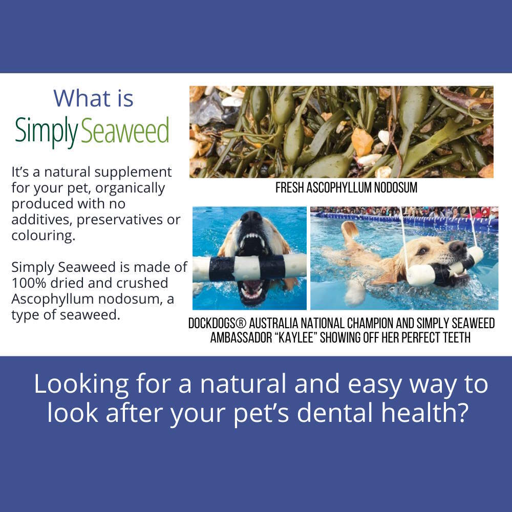 Simply Seaweed Natural Dental Health Care for Cats & Dogs 40g/200g image 4
