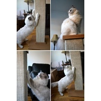 SmartCat Ultimate Heavy-Duty Sisal Cat Scratch Post image 4