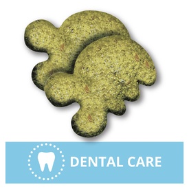 Greenies Feline Cat Dental Treats Catnip Flavour 10 x 60g Packs image 4