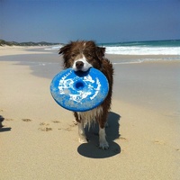 Aussie Dog Flying Disc Fetch Dog Toy - Blue Soft Frisbee image 4