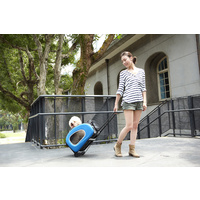IBIYAYA 5-in-1 Combo EVA Pet Carrier & Stroller and Backpack - Royal Blue image 4