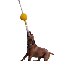 Aussie Dog Home Alone Hanging Treat Dispensing Dog Toy - Medium image 4