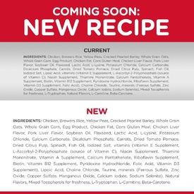 Hills Science Diet Adult 7+ Youthful Vitality Dry Dog Food image 4