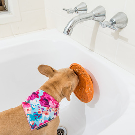 LickiMat Splash Wall & Floor Suction Slow Feeder Dog Bowl - Blue image 4
