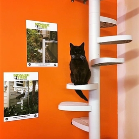 Monkee Tree - The Scalable Cat Climbing Ladder 12 Trunk Starter Pack in BLACK image 4