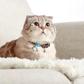 Max & Molly Smart ID Cat Collar - Comic image 4