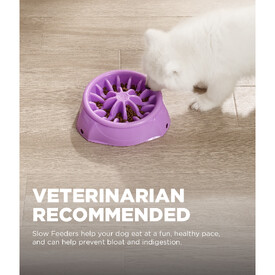 Outward Hound 3-in-1 Up Height Adjustable Slow Feeder Dog Bowl - Purple image 4