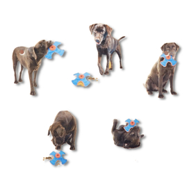 Omega Paw Extreme Treat Ball Treat & Food Dispensing Dog Toy image 4