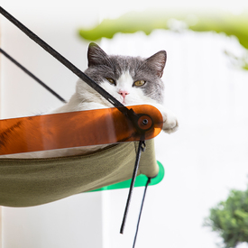 Pidan Air Bed - Fold-up Cat Window Seat Hammock image 4