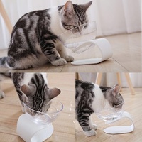 Pidan Designer Raised Cat Bowl with White Base image 4