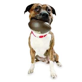 Planet Dog Durable Treat Dispensing & Fetch Dog Toy - Football image 4