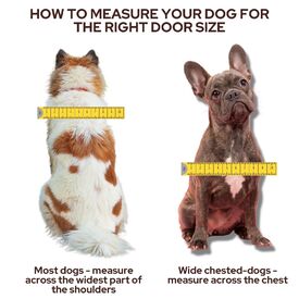 Transcat Large Pet Door for Cats & Small-Med Dogs - For Installation in Glass Doors & Windows image 4