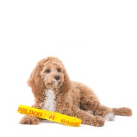 Aussie Dog Eightathong Floating Tug Dog Toy - Medium image 4