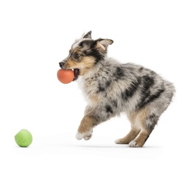 West Paw Rando Bouncing Floating Ball Dog Toy image 4