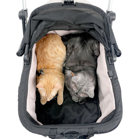 Ibiyaya InstaCollapse 2-in-1 Dog Stroller & Car Seat Carrier | Fold, Go, & Travel with Ease image 4