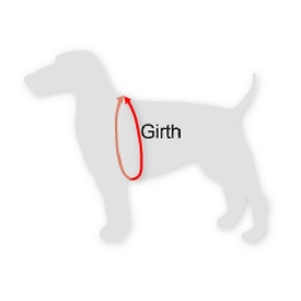 Black Dog Balance Halter - Front & Back Attach Dog Harness image 4