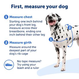 Petsafe Easy Walk Front-Attachment No-Pull Dog Harness image 4