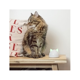 Sure Petcare Sureflap Microchip Connect Cat Door (Small) & Connect Wifi Hub Option image 4