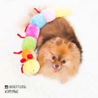 Zippy Paws Long Caterpillar 6 Squeakers Plush No Stuffing Dog Toy image 4