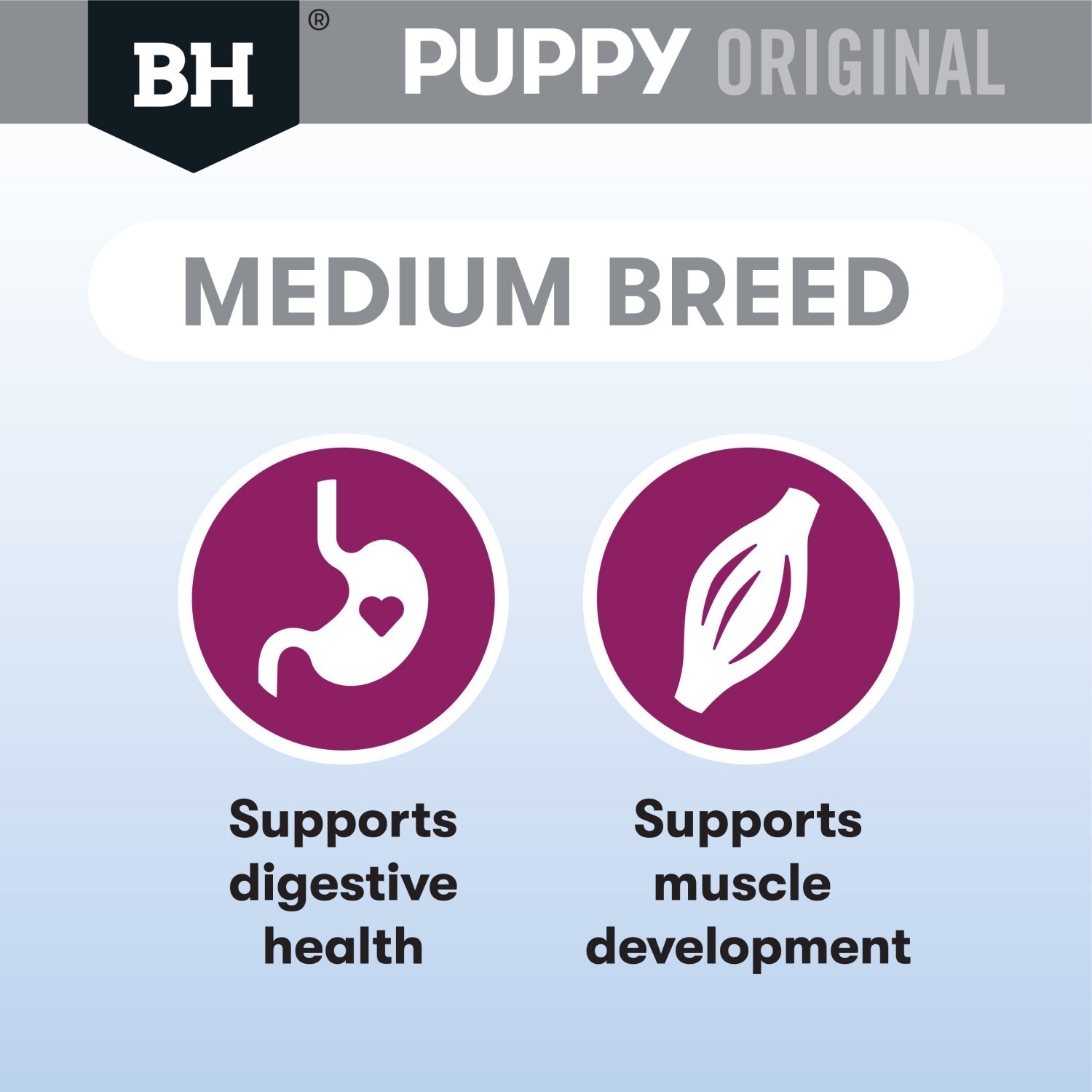 Black Hawk Original Lamb & Rice Puppy Dry Dog Food for Medium Breeds image 5