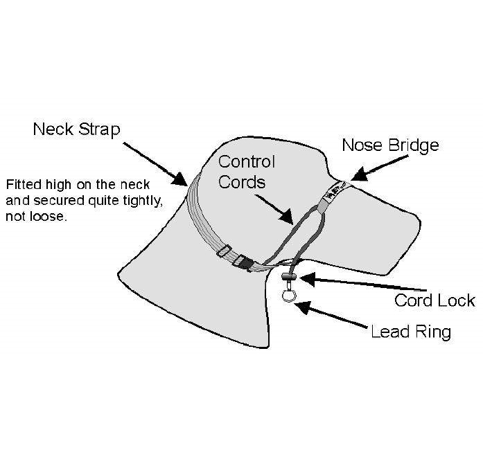 Black Dog Training Head Halter with Chin Clip image 5