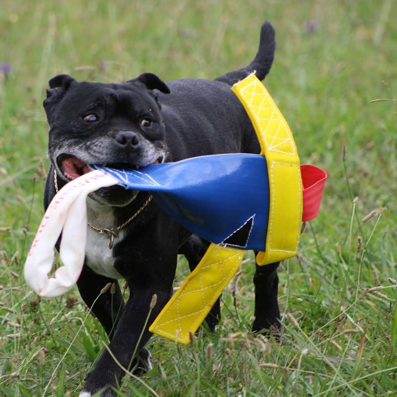 Aussie Dog Heavy Duty Chook Fetch Dog Toy image 5