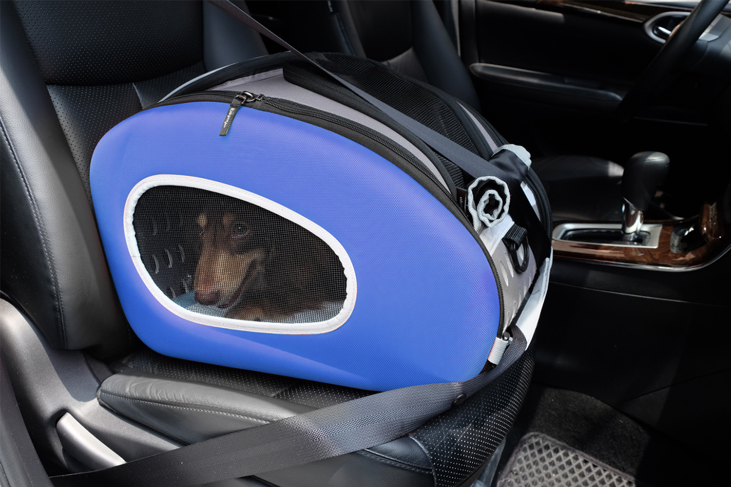 Ibiyaya Convertable Pet Carrier with Wheels - Royal Blue image 5