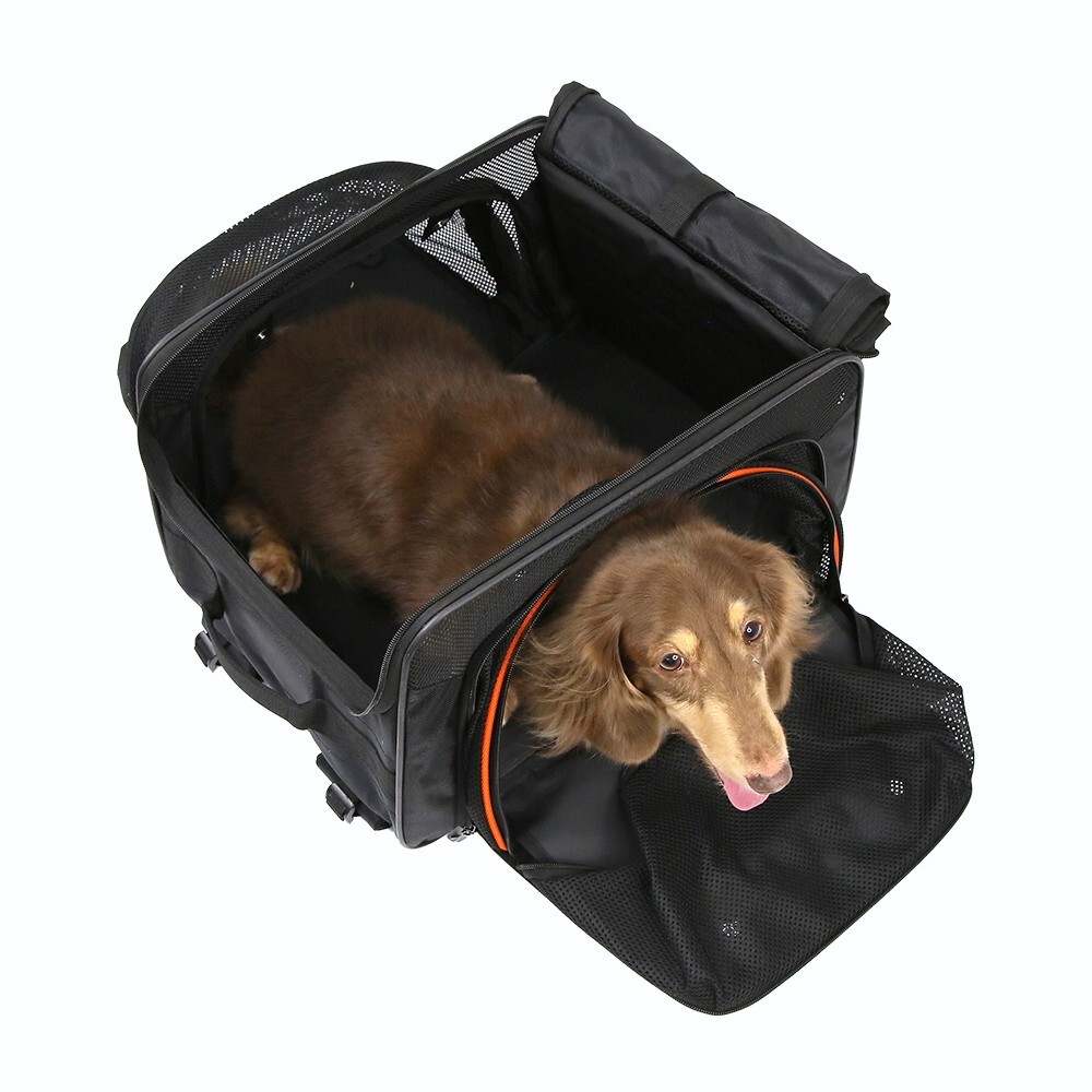Ibiyaya JetPaw: Expandable Pet Carrier & Backpack - Obsidian/Orange  image 5