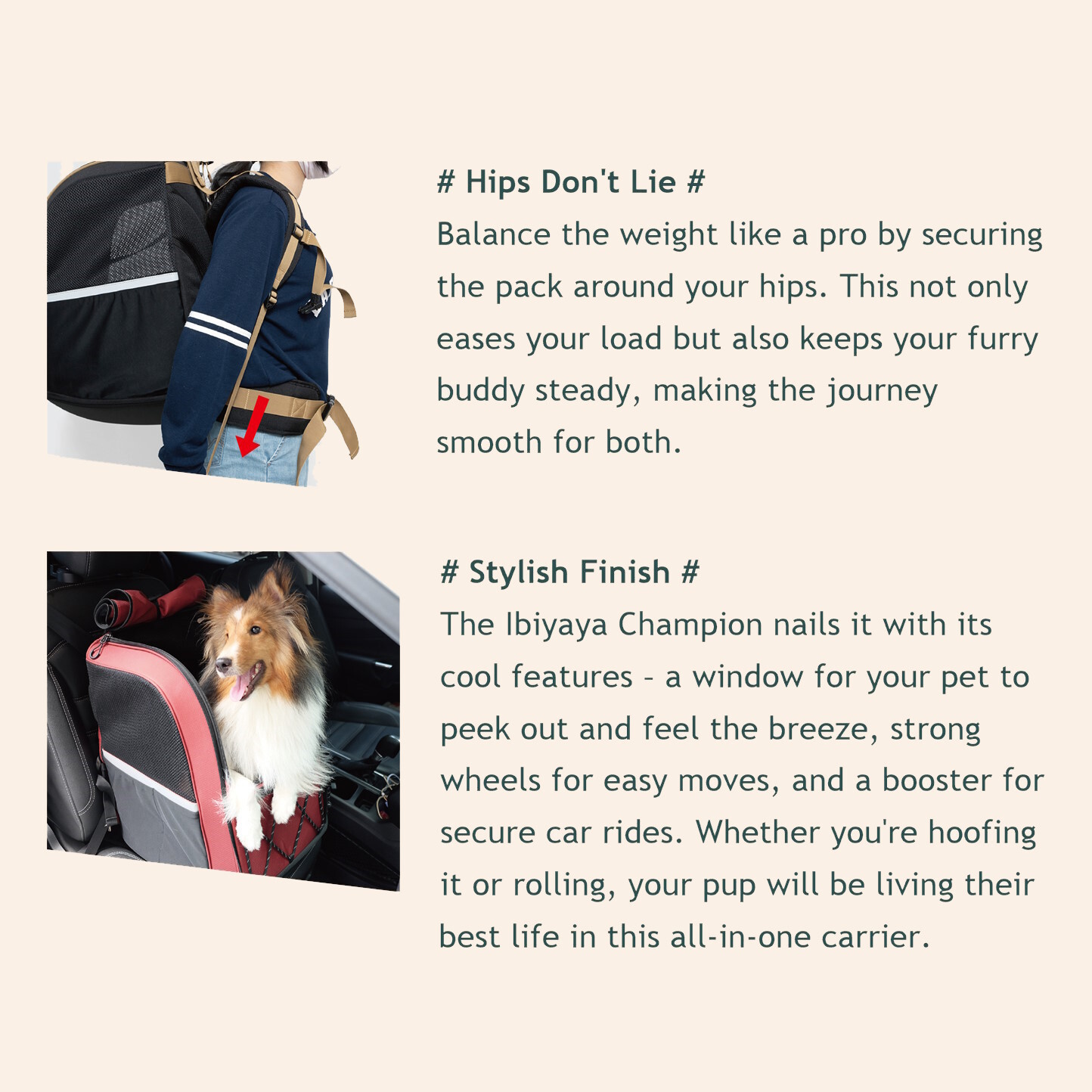 Ibiyaya Champion 3-in-1 Carrier, Backpack & Car Seat for Dogs up to 12kg image 5