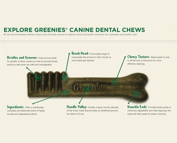 Greenies safe for dogs hotsell