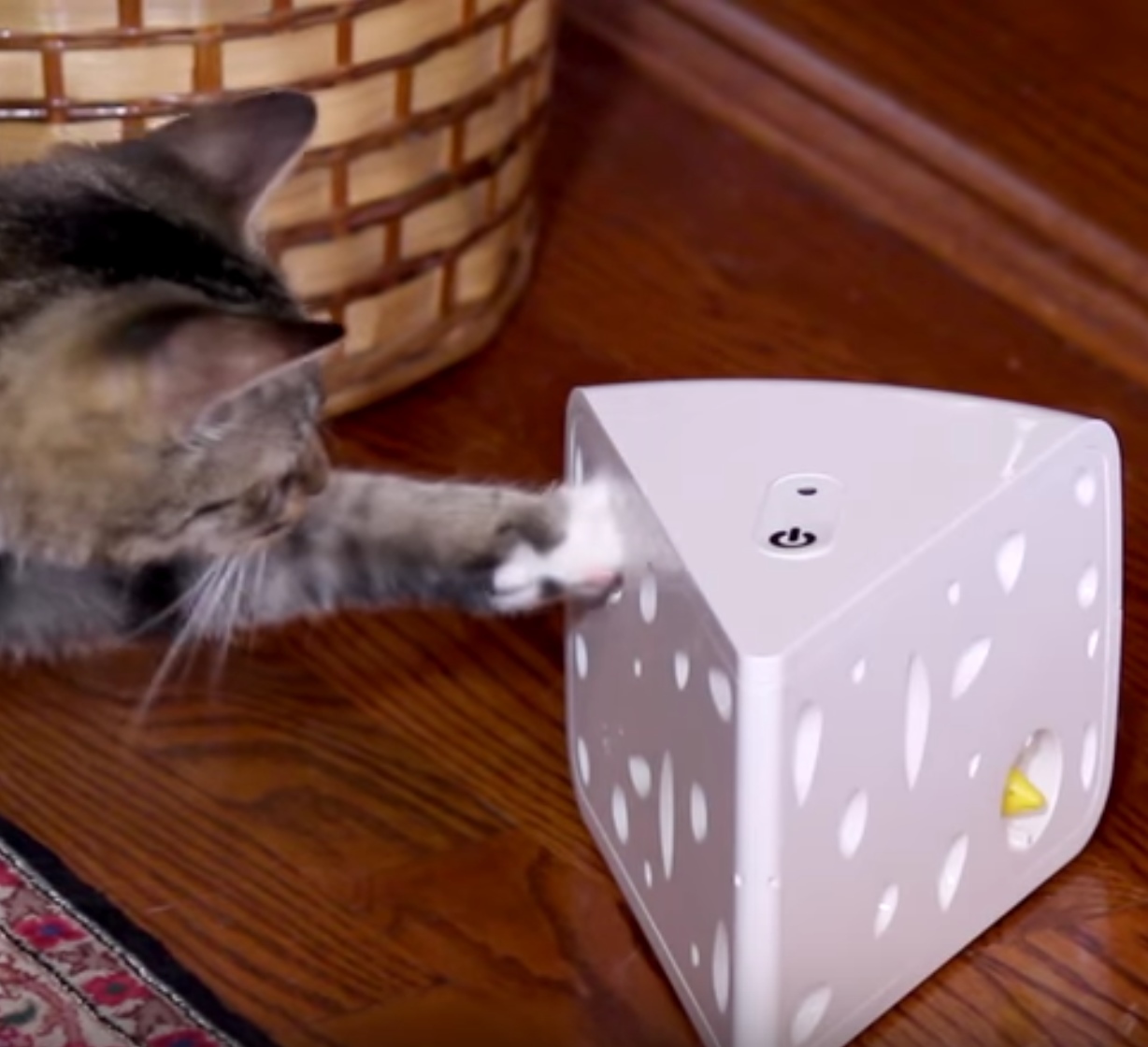 frolicat cheese toy