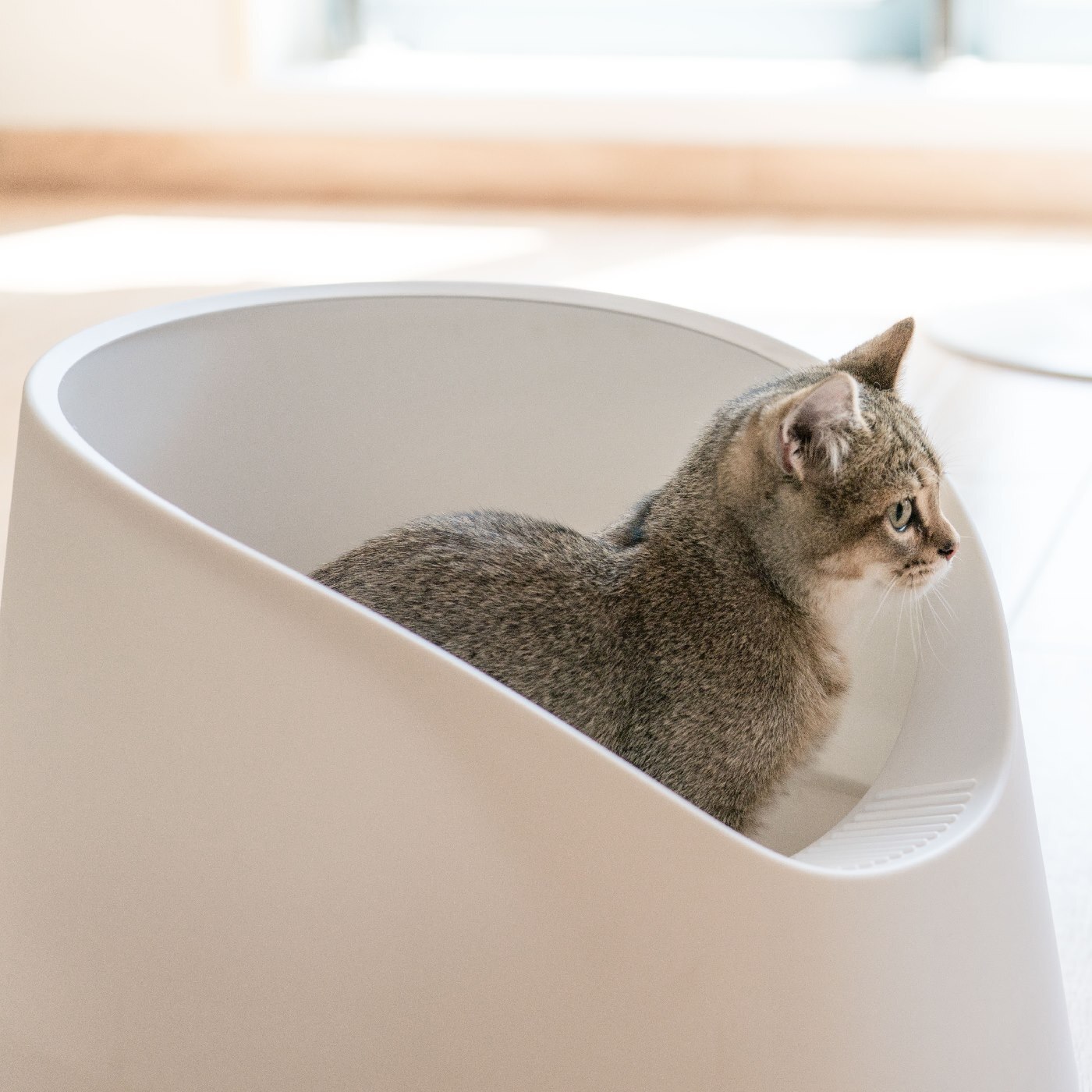 PIDAN Deluxe Antibacterial Tracking-Resistant Cat Litter Box image 5