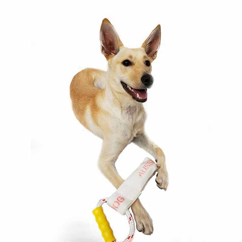 Aussie Dog Tugathong Tough Tug Dog Toy for Large Dogs over 30kg image 5