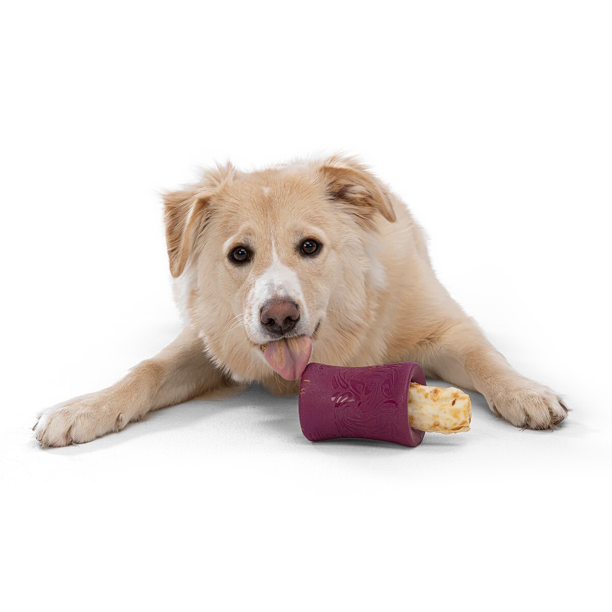 West Paw Funnl Dog Treat & Chew Hiding Toy for Moderate Chewers image 5