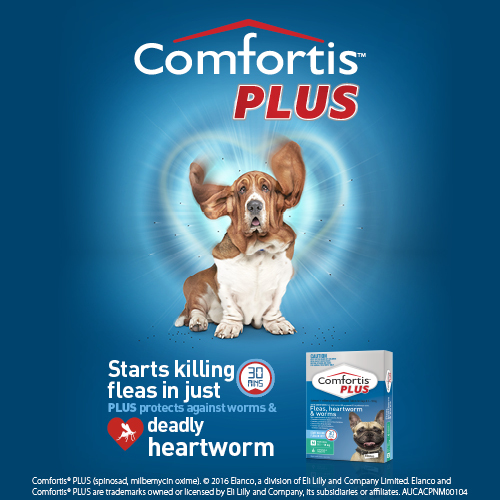 comfortis plus green best price