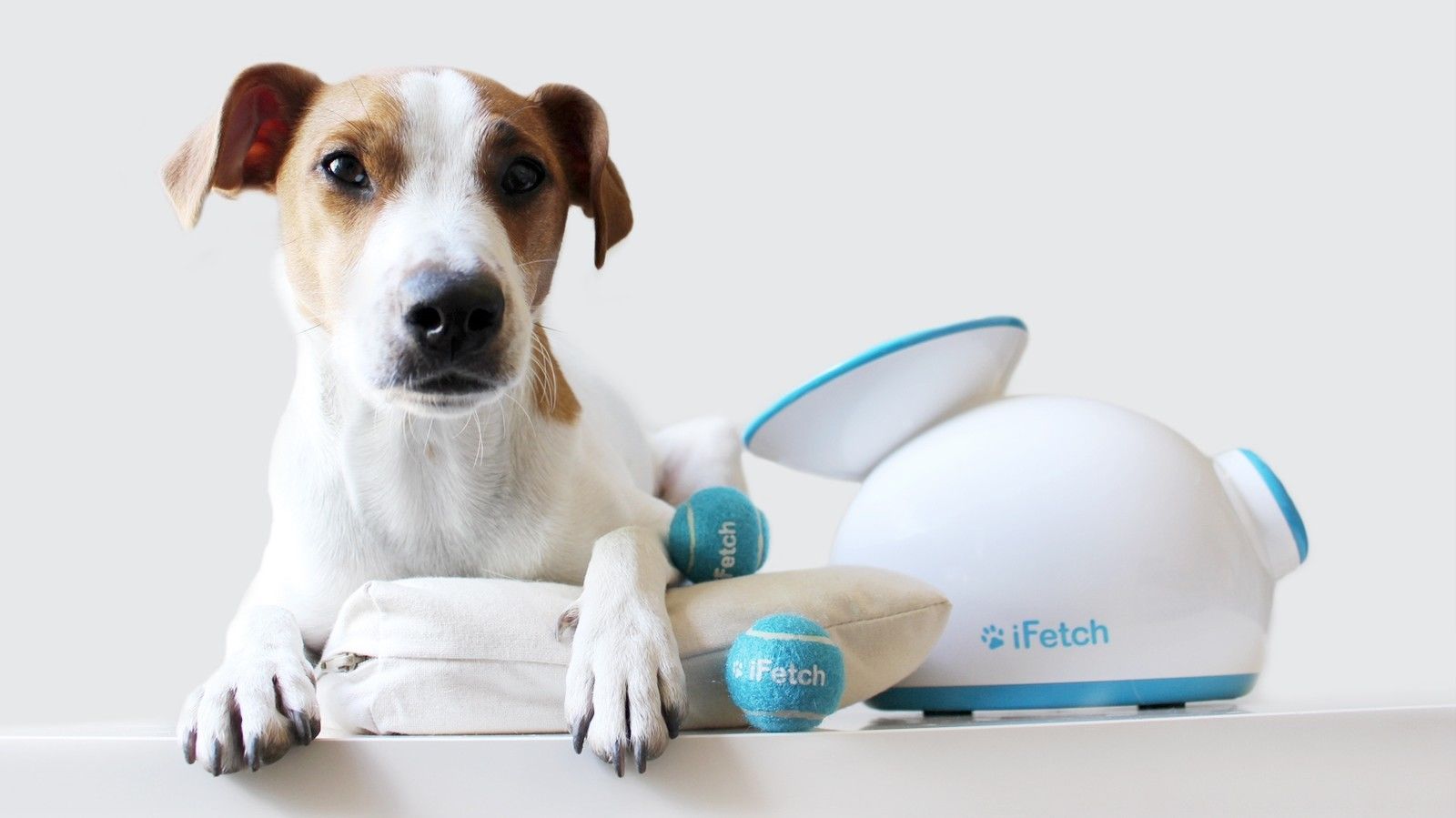 iFetch Interactive Ball Launcher for Dogs