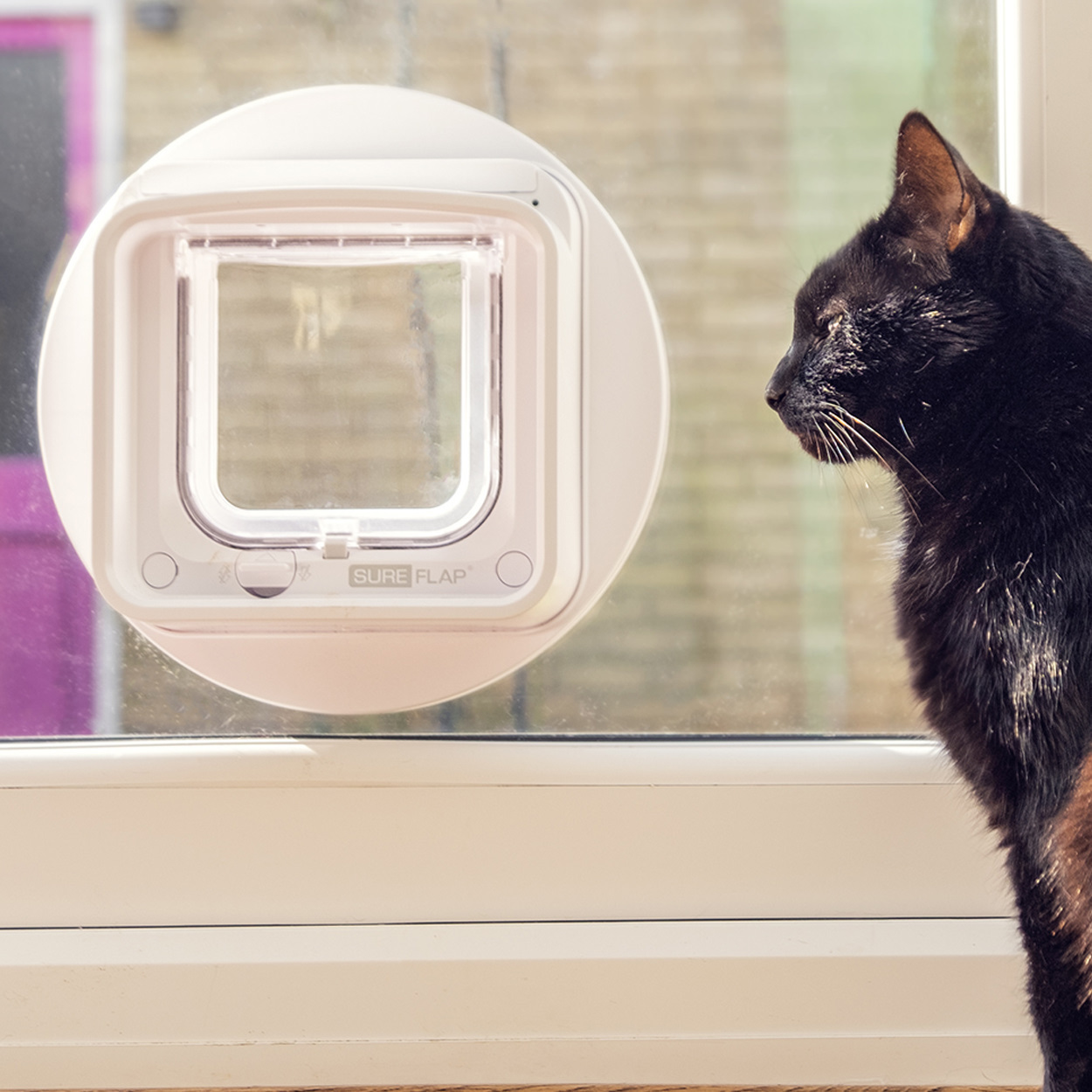 Sure Petcare Sureflap Microchip Connect Cat Door (Small) & Connect Wifi Hub Option image 5