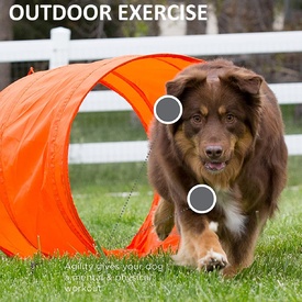Outward Hound ZipZoom Outdoor Agility Kit for Dogs image 5