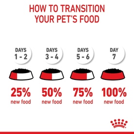 Royal Canin Instinctive Moist Kitten Food in Jelly x 12 Pouches image 5