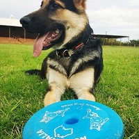 Aussie Dog Flying Disc Fetch Dog Toy - Blue Soft Frisbee image 5