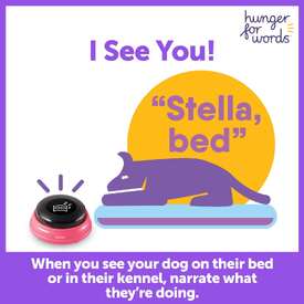 Hunger For Words Talking Pet Next Words: Locations image 5