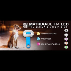 Max & Molly Matrix Ultra LED Harness and Collar Safety light image 5
