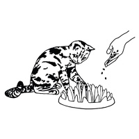 Northmate Catch Interactive Slow Food Cat Bowl image 5
