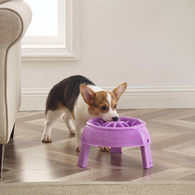 Outward Hound 3-in-1 Up Height Adjustable Dog Bowl - Purple image 5