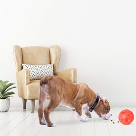 Omega Paw Tricky Treat Ball Treat & Food Dispensing Dog Toy - Small image 5