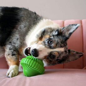 KONG Squeezz Orbitz Spin Top Squeaker Dog Toy - Random Colour - S/M image 5