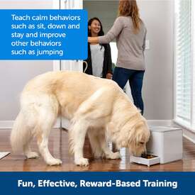 Petsafe Teach and Treat Remote Reward Dog Trainer Treat Dispenser image 5